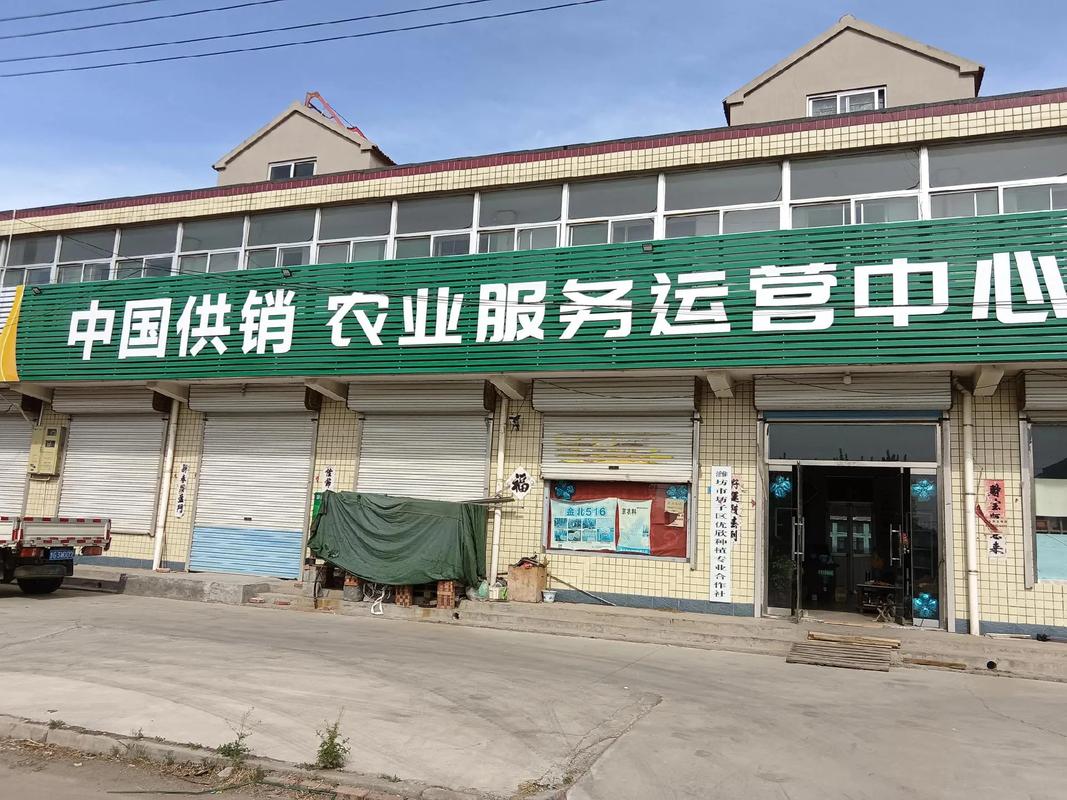 2025夏播玉米品種已到貨 科技賦能，助力秋收高產